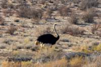 _namibia23ago2710_small.jpg
