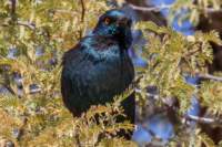 _namibia23ago27111_small.jpg
