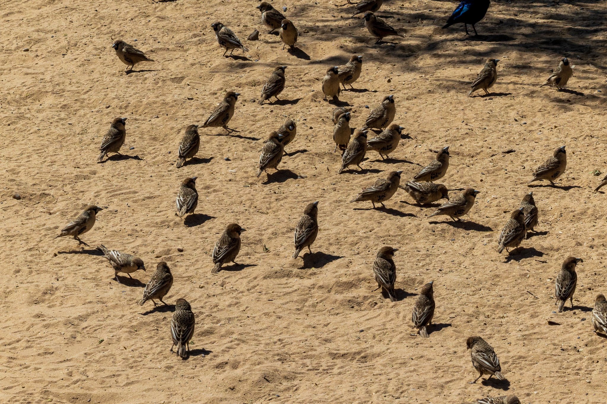_namibia23ago27112.jpg