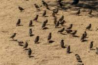 _namibia23ago27112_small.jpg