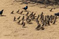 _namibia23ago27113_small.jpg