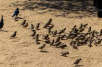 _namibia23ago27114_small.jpg