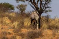 _namibia23ago27119_small.jpg