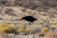 _namibia23ago2711_small.jpg