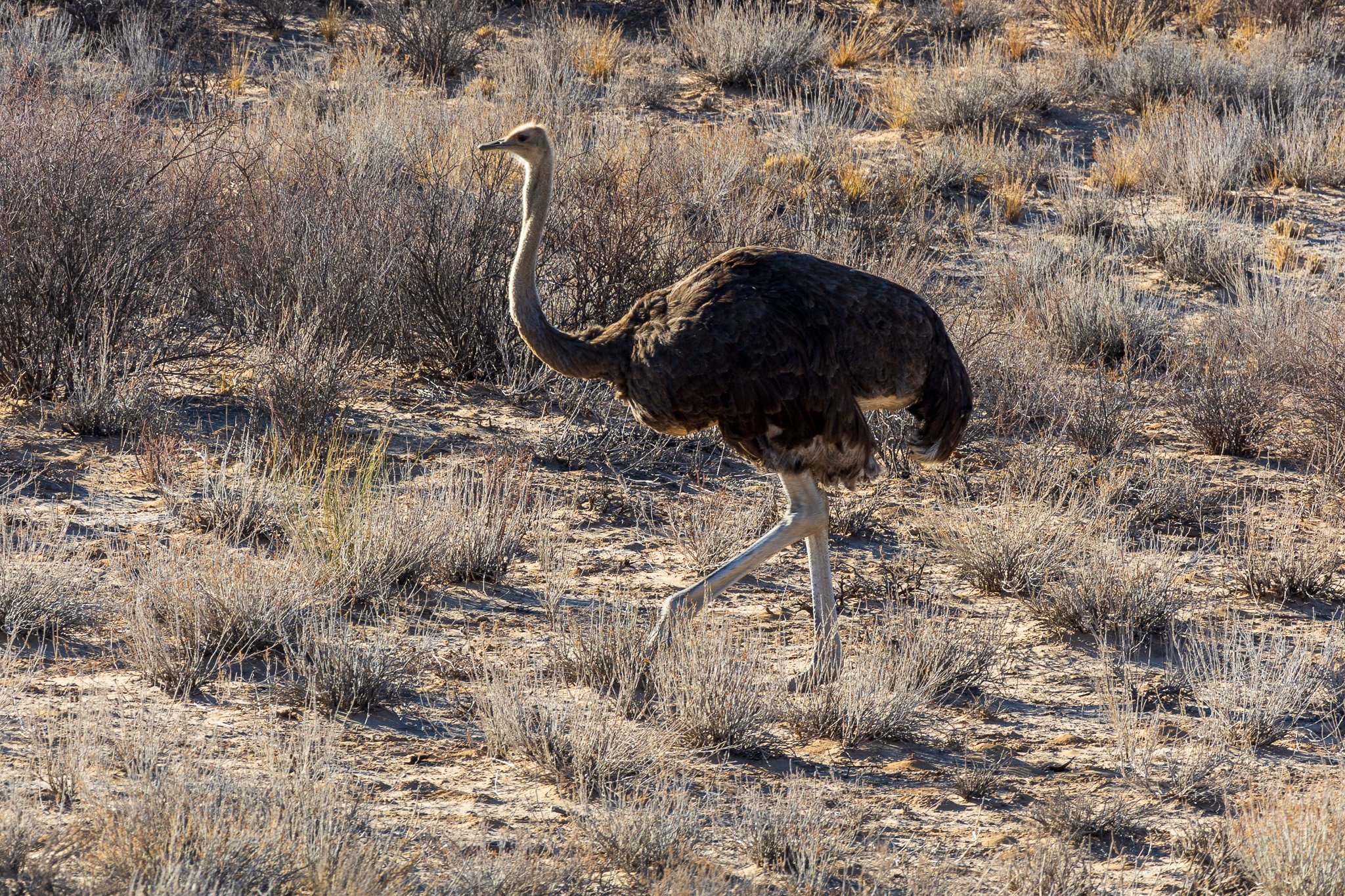 _namibia23ago2712.jpg