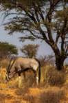 _namibia23ago27120_small.jpg