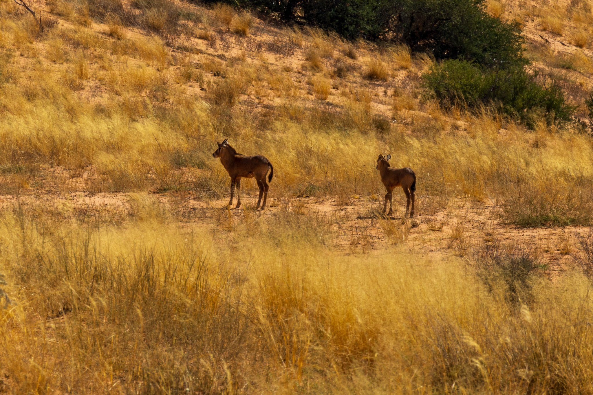 _namibia23ago27121.jpg