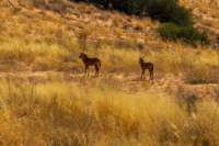 _namibia23ago27121_small.jpg