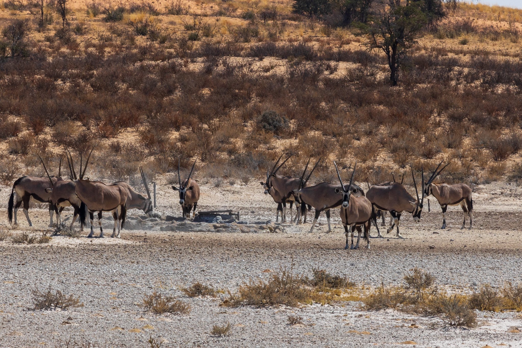 _namibia23ago27123.jpg