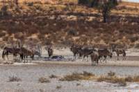 _namibia23ago27123_small.jpg