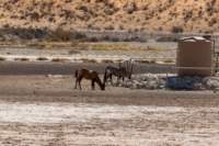 _namibia23ago27124_small.jpg
