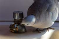 _namibia23ago27128_small.jpg