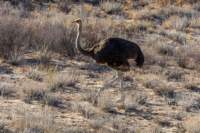 _namibia23ago2712_small.jpg
