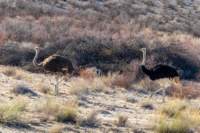 _namibia23ago2713_small.jpg