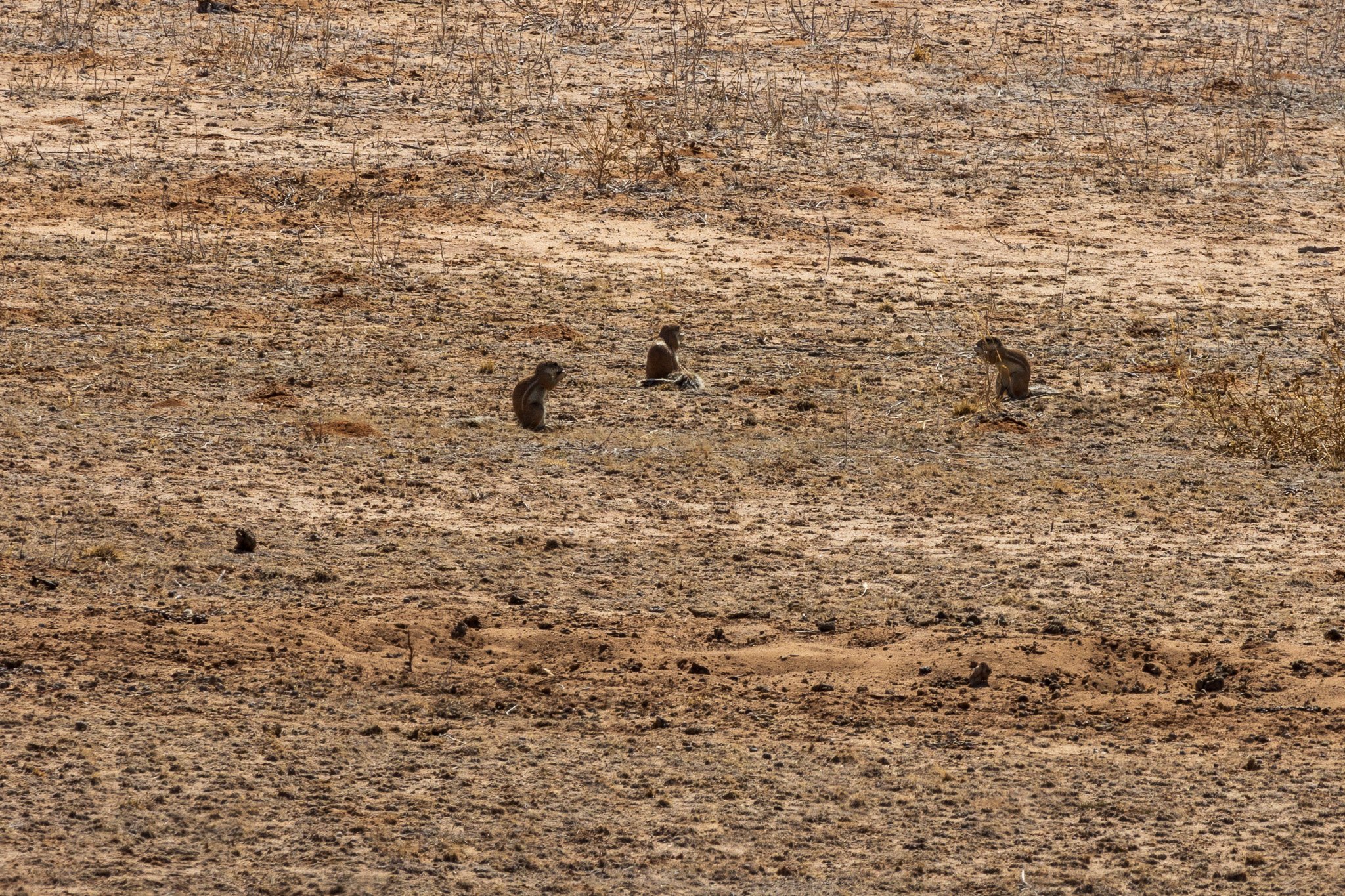 _namibia23ago27140.jpg