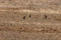_namibia23ago27140_small.jpg