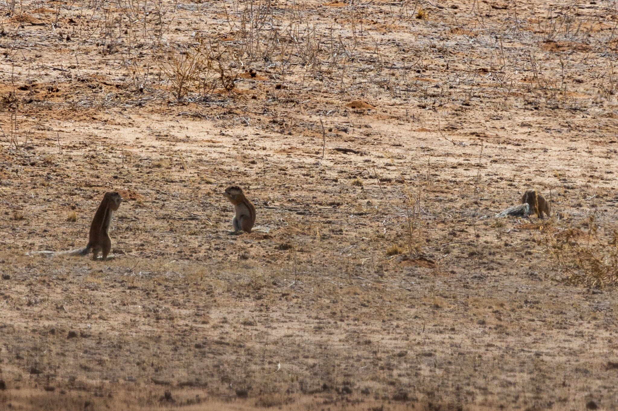 _namibia23ago27141.jpg