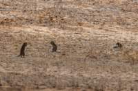_namibia23ago27141_small.jpg