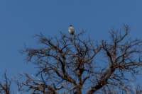 _namibia23ago27142_small.jpg