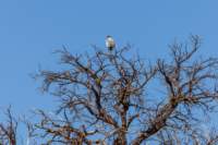 _namibia23ago27143_small.jpg