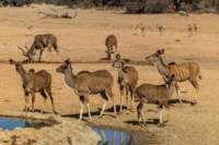 _namibia23ago27153_small.jpg
