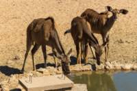 _namibia23ago27155_small.jpg