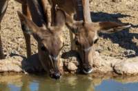 _namibia23ago27156_small.jpg