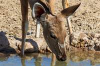 _namibia23ago27157_small.jpg