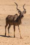 _namibia23ago27159_small.jpg