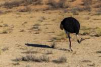 _namibia23ago2715_small.jpg