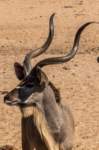 _namibia23ago27160_small.jpg