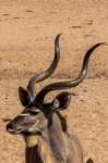 _namibia23ago27161_small.jpg