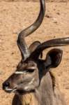 _namibia23ago27162_small.jpg