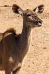 _namibia23ago27165_small.jpg