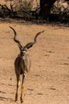 _namibia23ago27168_small.jpg