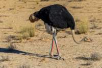 _namibia23ago2716_small.jpg