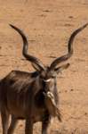 _namibia23ago27170_small.jpg