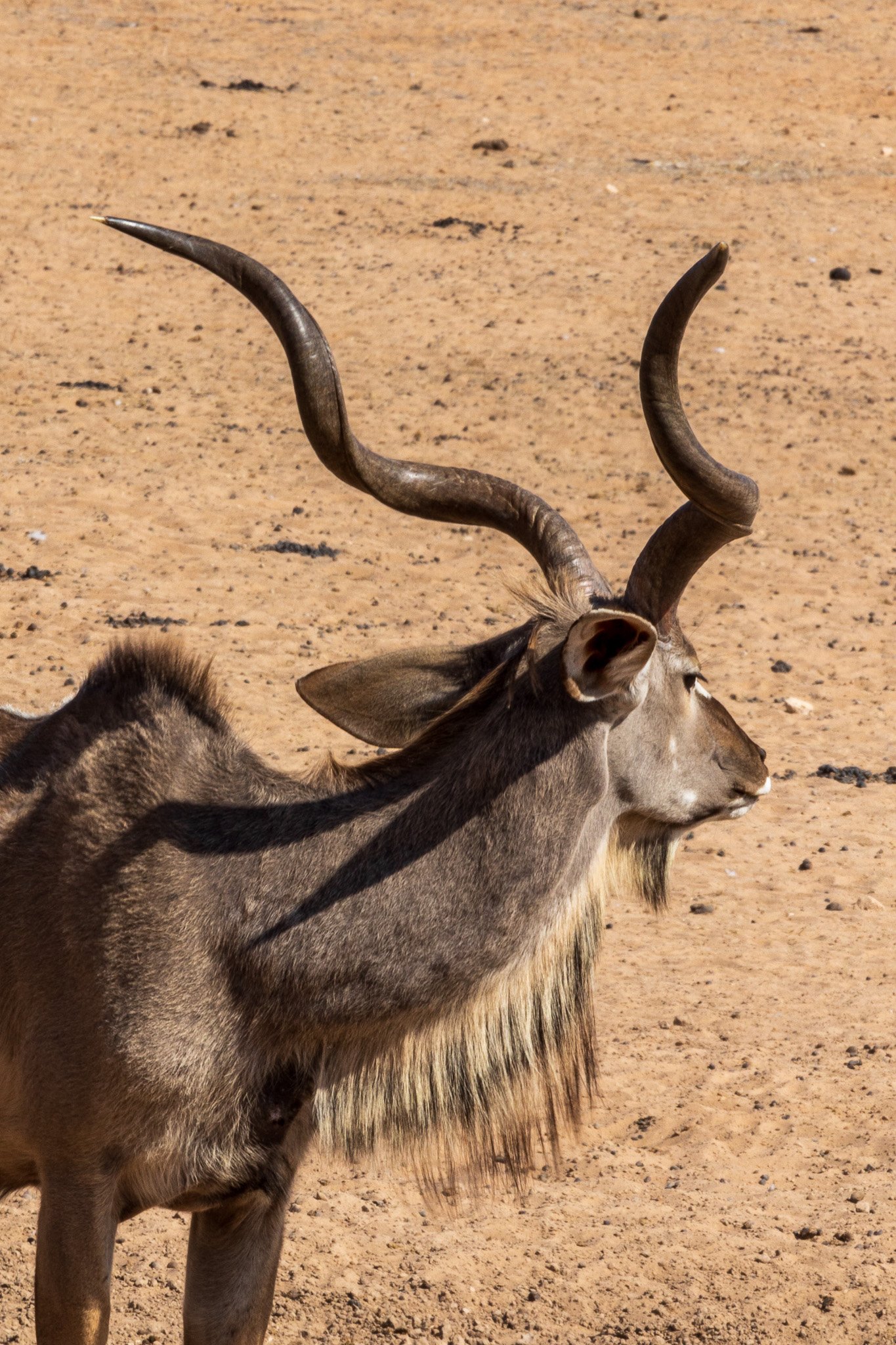 _namibia23ago27171.jpg