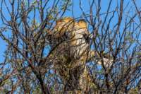 _namibia23ago27180_small.jpg