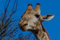 _namibia23ago27183_small.jpg