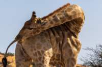 _namibia23ago27186_small.jpg