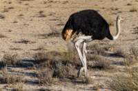 _namibia23ago2718_small.jpg
