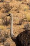 _namibia23ago27201_small.jpg