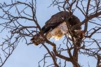 _namibia23ago27202_small.jpg