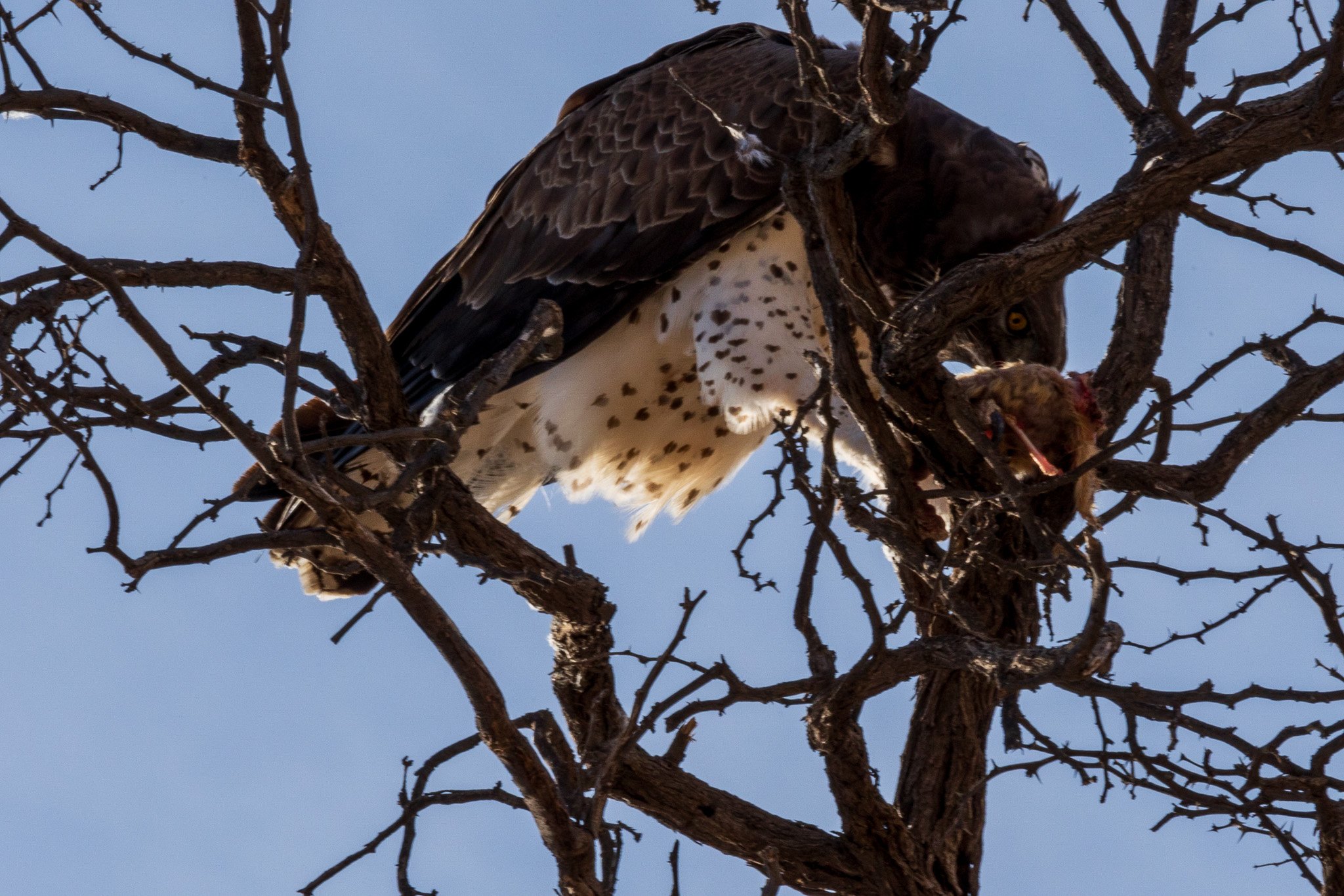 _namibia23ago27203.jpg