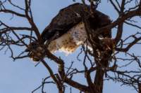 _namibia23ago27203_small.jpg