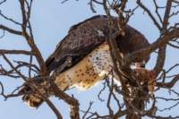 _namibia23ago27204_small.jpg