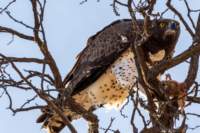 _namibia23ago27205_small.jpg