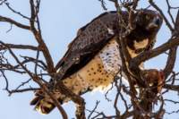 _namibia23ago27206_small.jpg