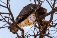 _namibia23ago27207_small.jpg
